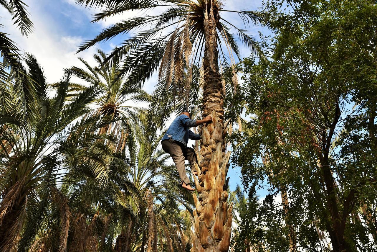 Dar Ezzahra Villa Tuzer Dış mekan fotoğraf