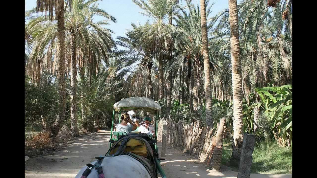 Dar Ezzahra Villa Tuzer Dış mekan fotoğraf